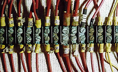 Electric-5.JPG (61704 bytes)